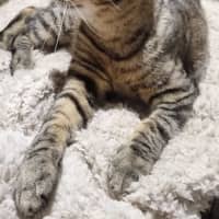 Photo of Holly