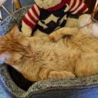 Photo of Toby And Logan 