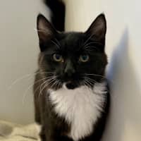 Photo of Kendra