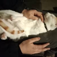 Photo of Spice