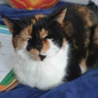 Photo of Queen Mimmi