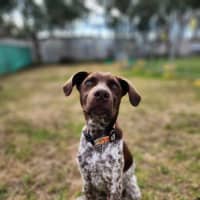 Photo of 🍟 Jack Jack 5561 🍟