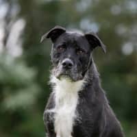 Photo of Snoop
