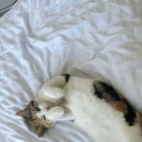 Photo of Nami