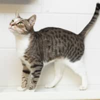 Photo of Cora