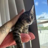 Photo of Hera