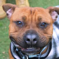 Photo of Rudi