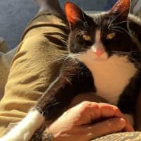 Photo of Penelope Babbington