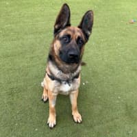 Photo of Hiro