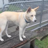 Photo of Sugar