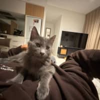 Photo of Earl Grey