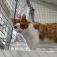 Photo of Mogwai