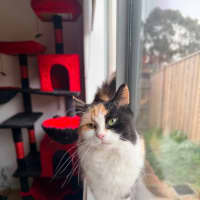 Photo of Lola