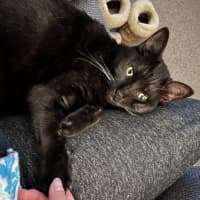 Photo of Monster