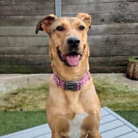 Photo of Narla