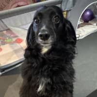 Photo of Maggie