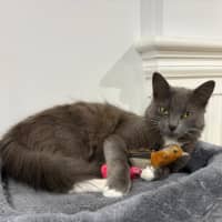 Photo of Keisha