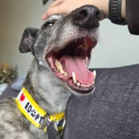 Photo of Nora