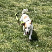 Photo of Missy