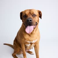 Photo of Zuri