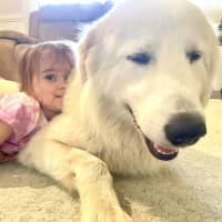 Photo of Zeus