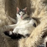 Photo of Finn