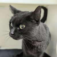 Photo of 🌮 Frankie 6184 🌮