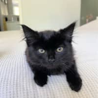 Photo of 💨Alcatraz💨