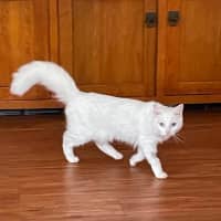 Photo of Elsa