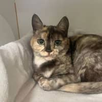Photo of Mimi