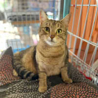 Photo of Robbie. Sweet Little Guy <3