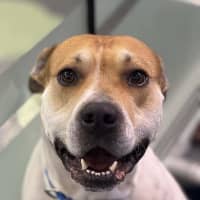 Photo of Ernie