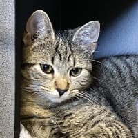 Photo of Lucy