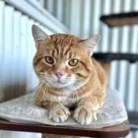 Photo of Captain