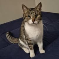 Photo of Bean
