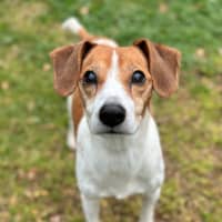 Photo of Mako & Buddy 