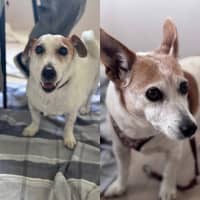 Photo of Choppa And Tiara