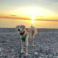 Photo of Rio