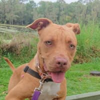 Photo of Lettie