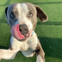 Photo of Jax Imp 1405