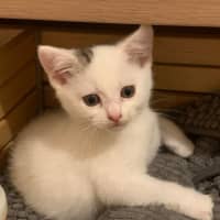 Photo of Brindabella