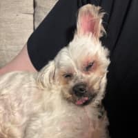 Photo of Wally And Ollie Peggotty