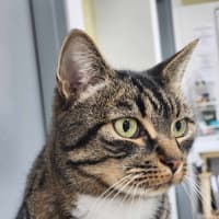 Photo of 🎮 Nippet 5903 🎮