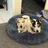 Photo of Ruby And Vincent Silvanus