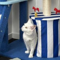 Photo of Yuki
