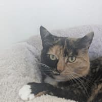 Photo of 🌖 Agatha 6518 🌖