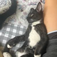 Photo of Jet