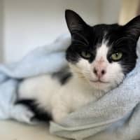 Photo of Wilbur