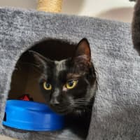 Photo of Luna And Max