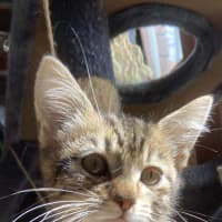 Photo of Winslow